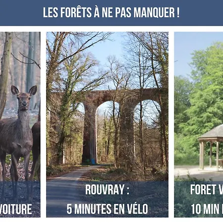 L'aurore Berbere, Hypercentre De Rouen, Au Calme *