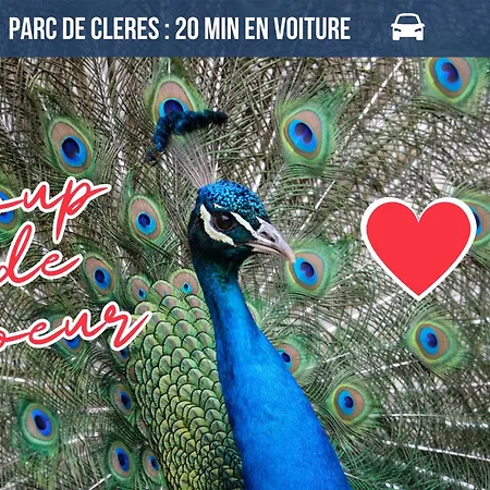 L'aurore Berbere, Hypercentre De Rouen, Au Calme Apartment