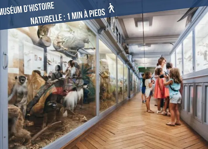 Appartement L'aurore Berbère, Hypercentre De Rouen, Au Calme Rouen