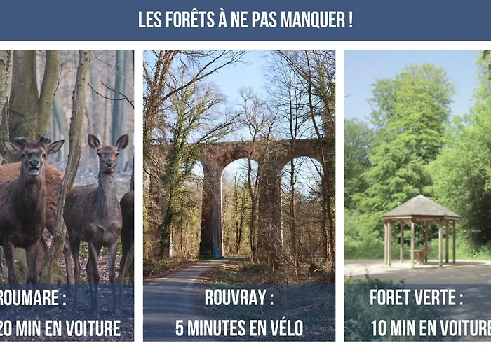 L'aurore Berbère, Hypercentre De Rouen, Au Calme *