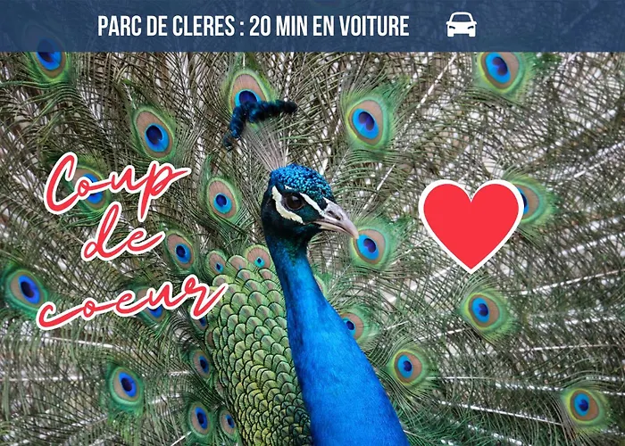 L'aurore Berbere, Hypercentre De Rouen, Au Calme Apartment